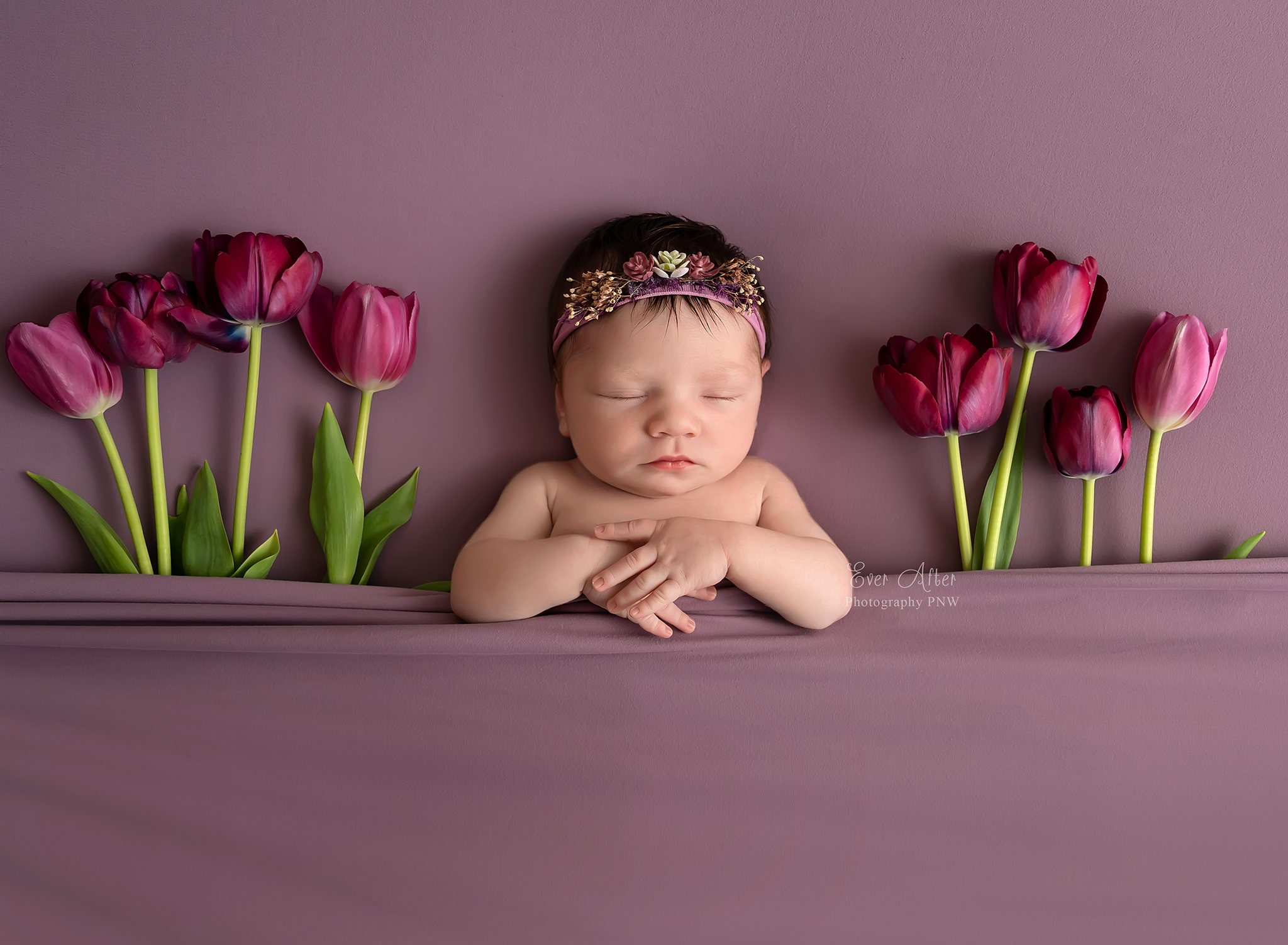 078-LR-NEWBORN.png