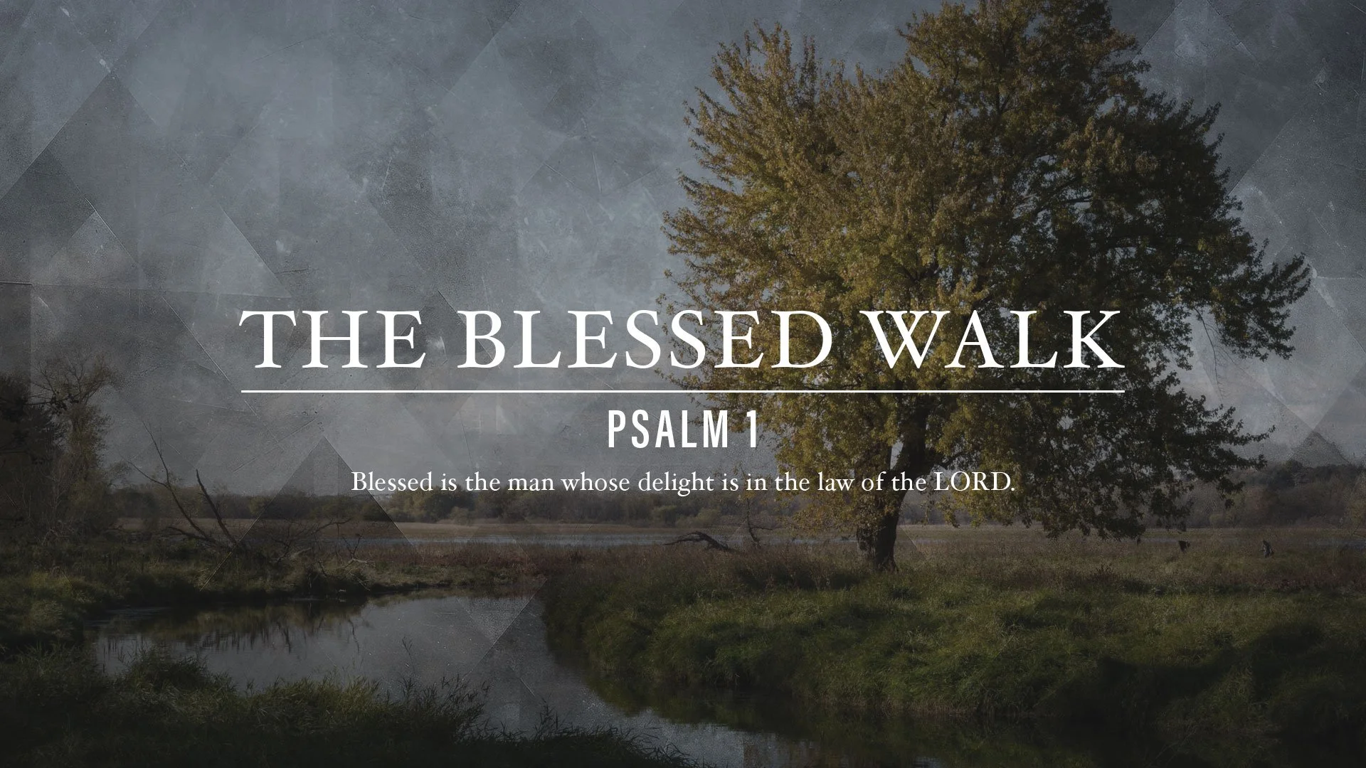 The Blessed Walk