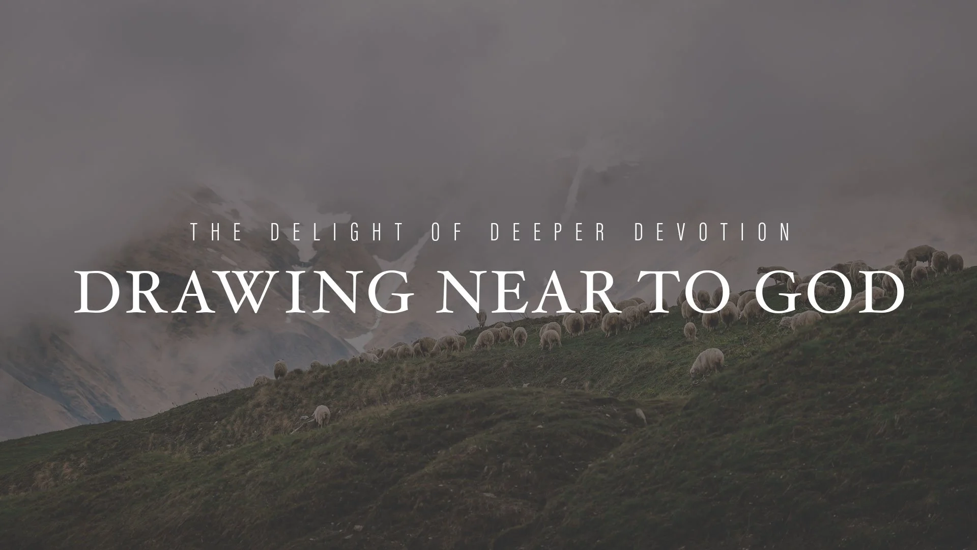 Holiness and Humanness