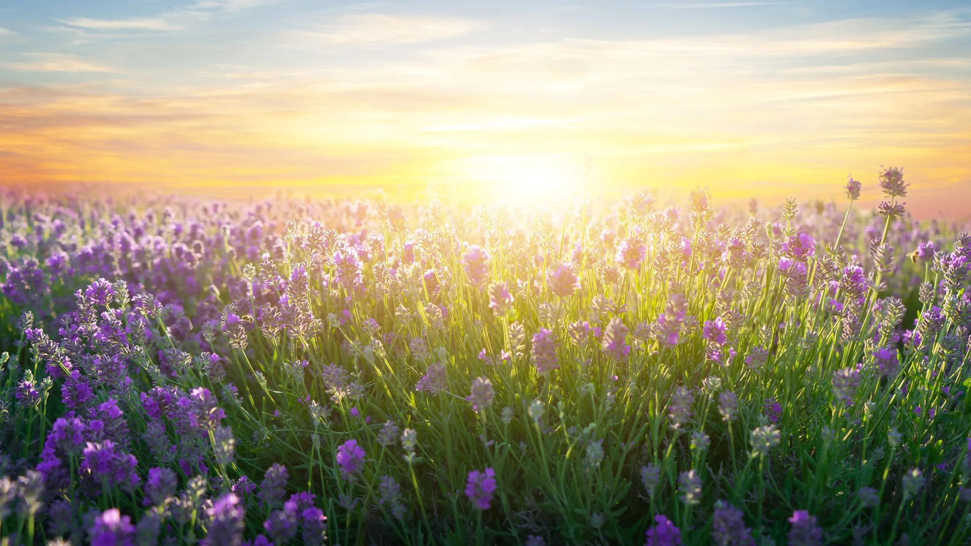 women_header3.jpg