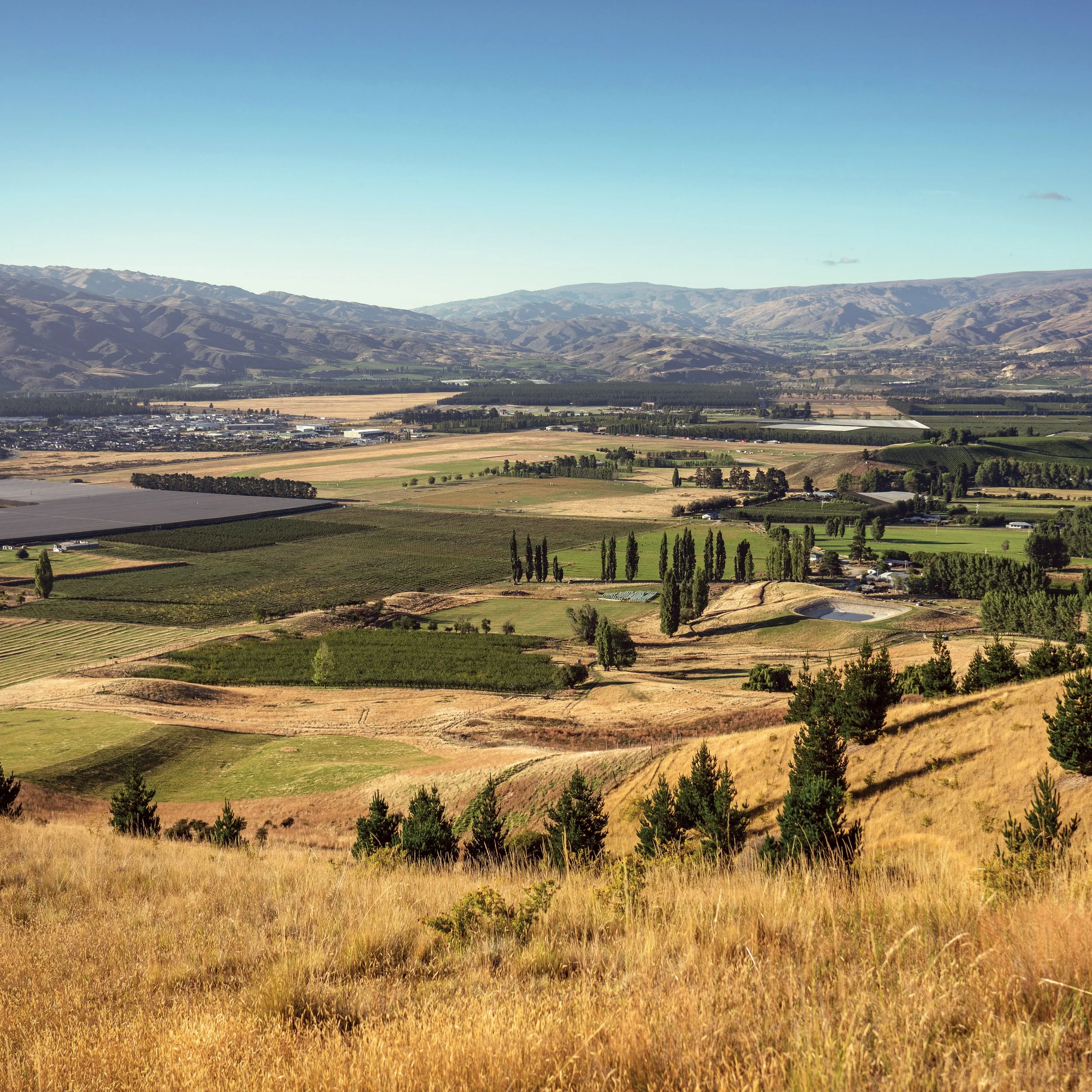 ShannonFarm-gallery-3.jpg