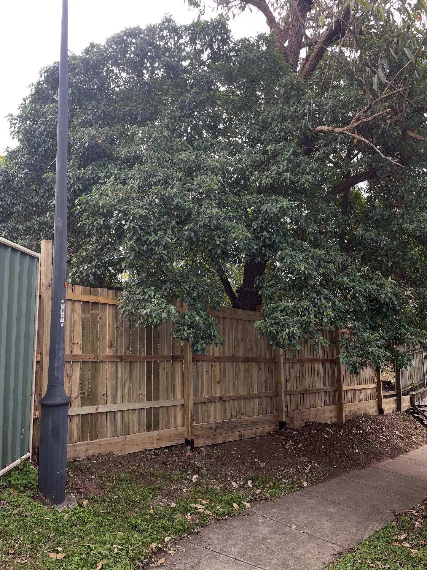 Quick treated pine fence replacement from the existing rotten hardwood with appropriate footings, retaining and water proofing ✅ 🔨 🪏 🌱 

#fencing #landscaping #landscapedesign #timber