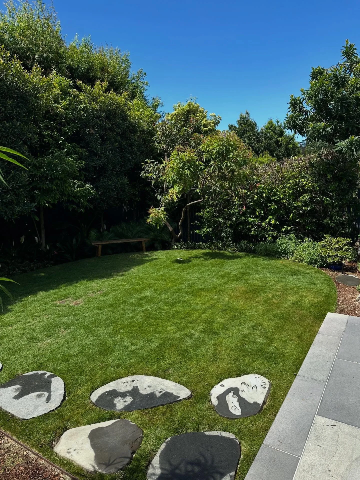 Our results speak for themselves ✅ 

This renovated lawn has had the full treatment just in time for Christmas and look at it now 👀 🌱 💦 ✅ 

#lawnrenovation #irrigation #topdress #fertiliser #brisbane #growwithstyle #landscaping