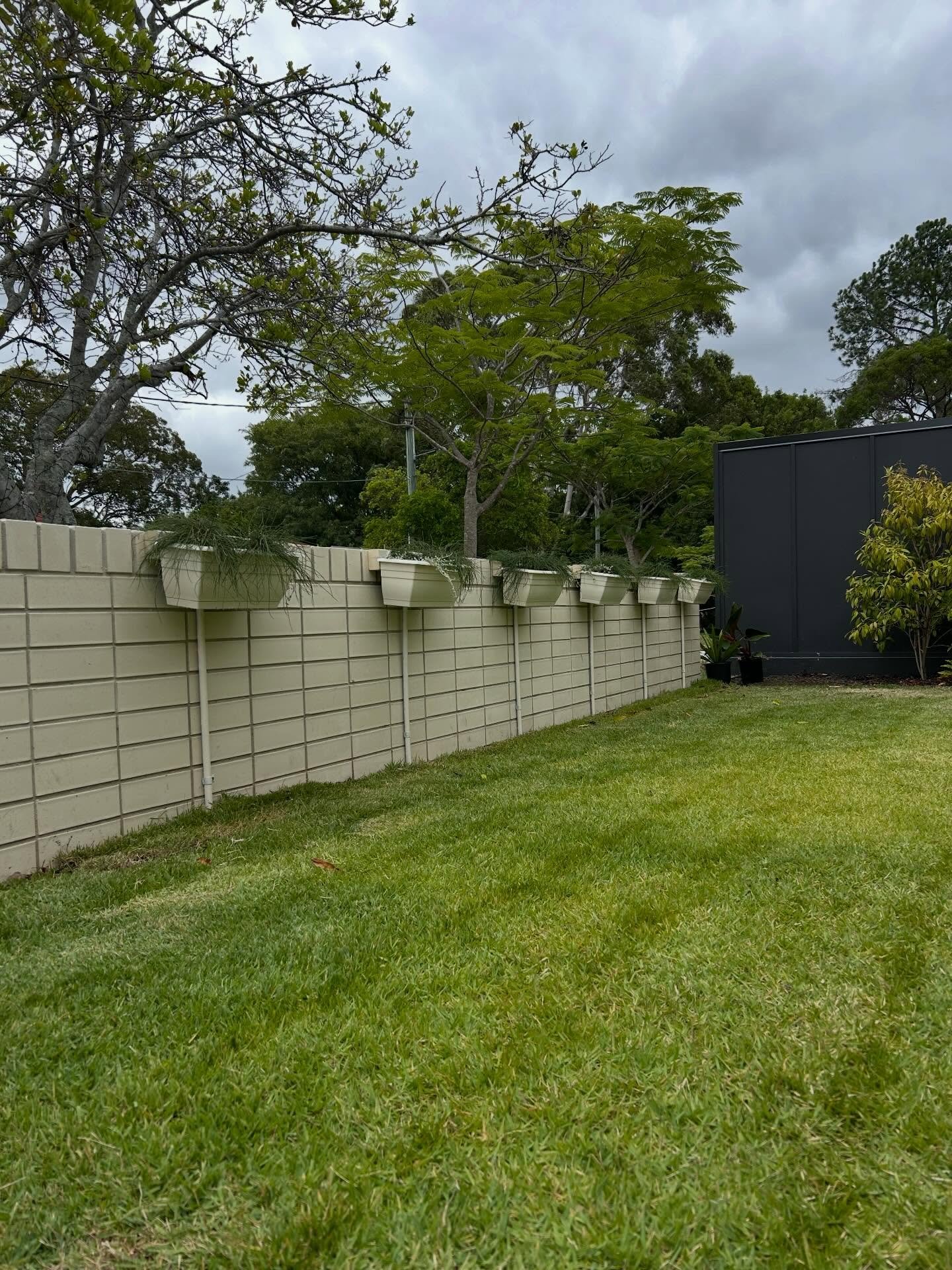 Custom vertical garden for an existing client 🪏 🪴 💧 

#landscapedesi̇gn #landscape #irrigation #brisbane #growwithstyle