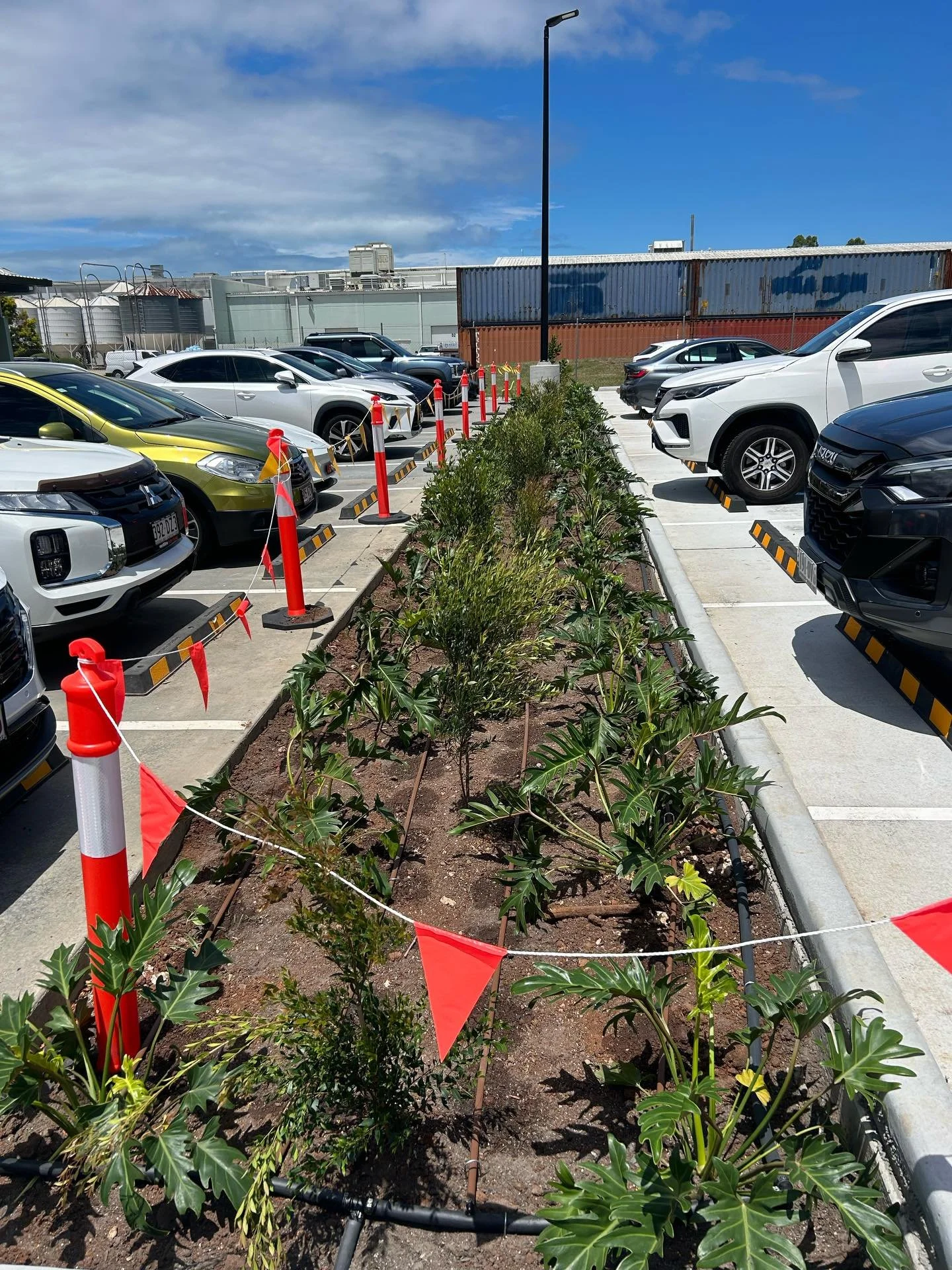 Instant gardens, perfected irrigation, now ready for mulch ✅ 

This car park will be flourishing with life, in no time at all 💦 🌱

#landscape #landscapedesign #irrigation #brisbane #gardenlove #growwithstyle