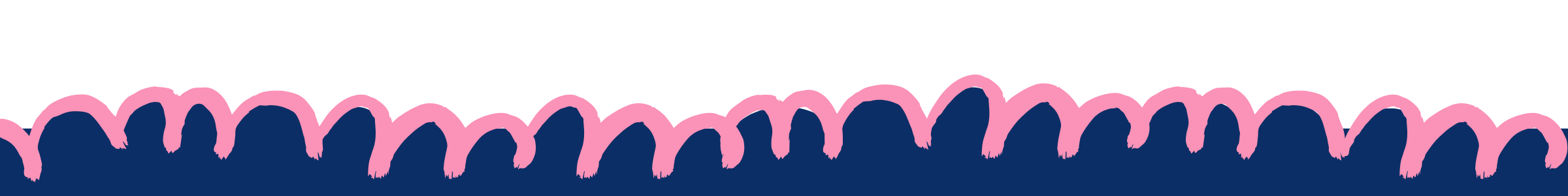 Decorative pink scalloped border with navy blue center in a repeating pattern.