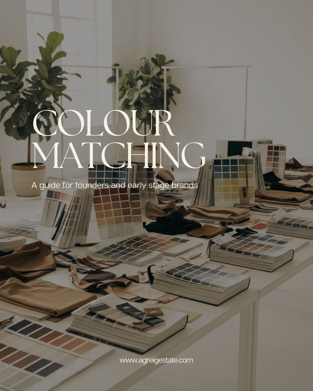 Colour Matching in Fashion