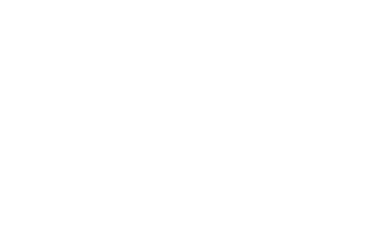 logo_7.png