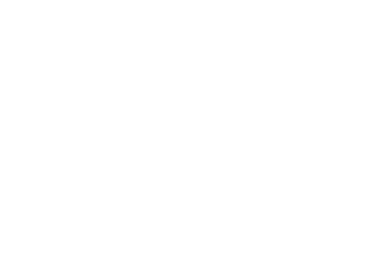 logo_5.png