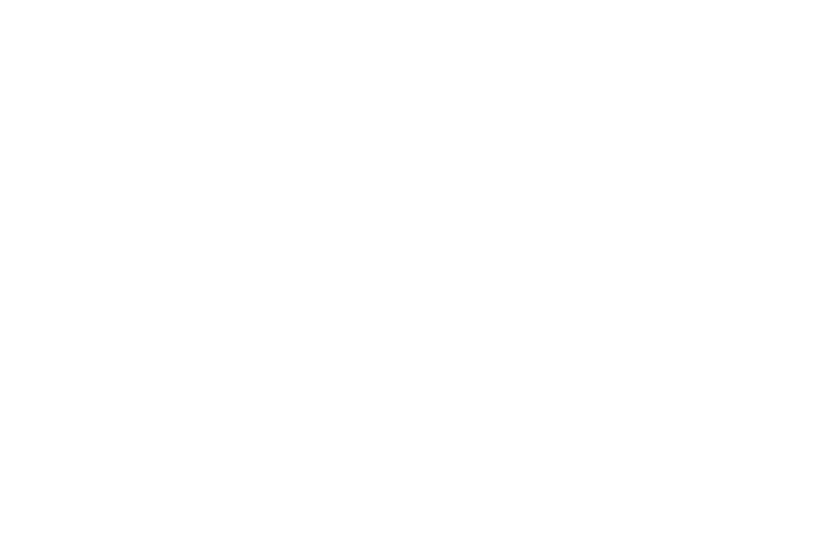 logo_4.png