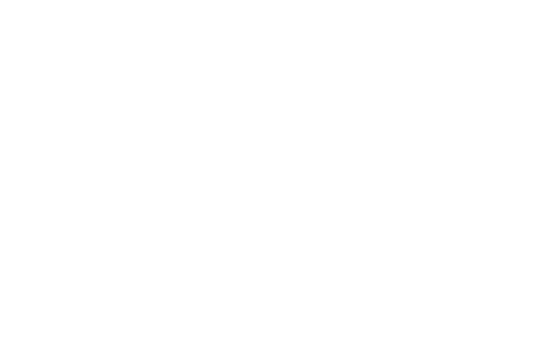 logo_1.png