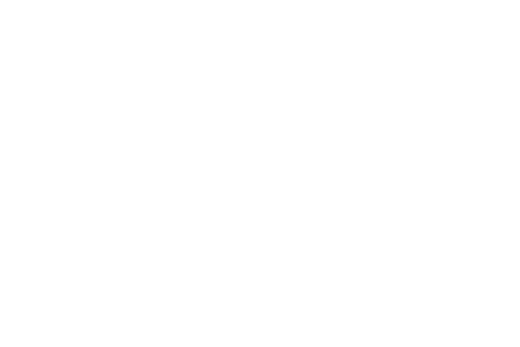 logo_2.png