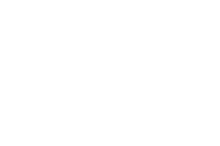 logo_6.png