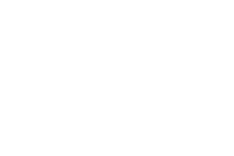 logo_3.png