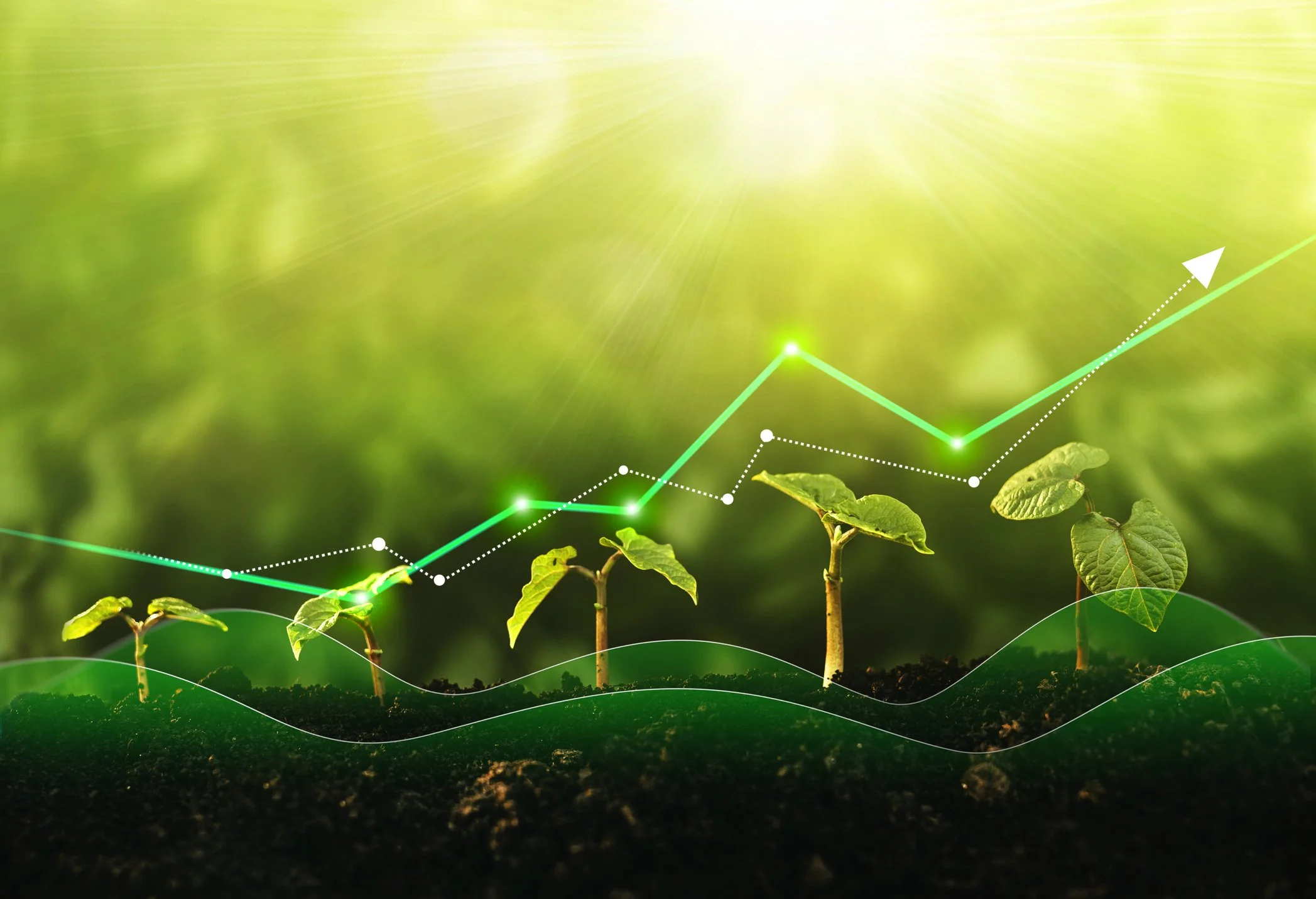 Simple Goal Setting for Small Business Owners