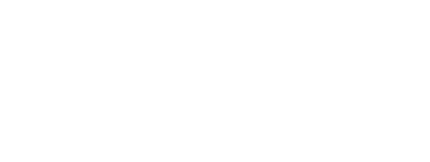 Hurricane Brazilian Jiu-Jitsu logo