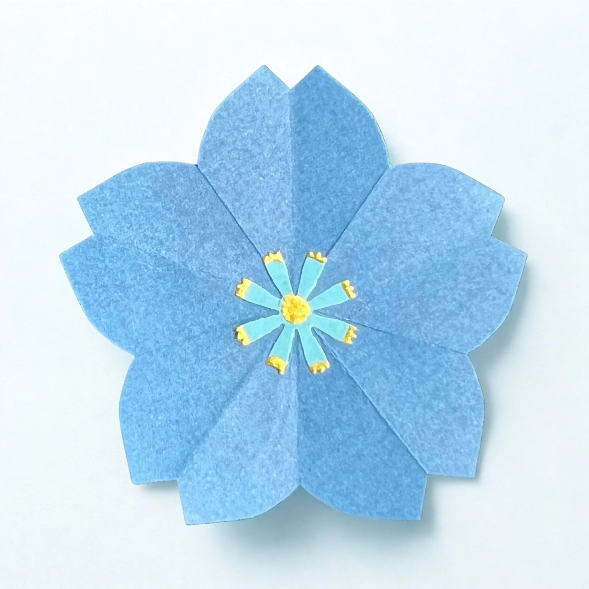 Blue Sakura White Background.jpg