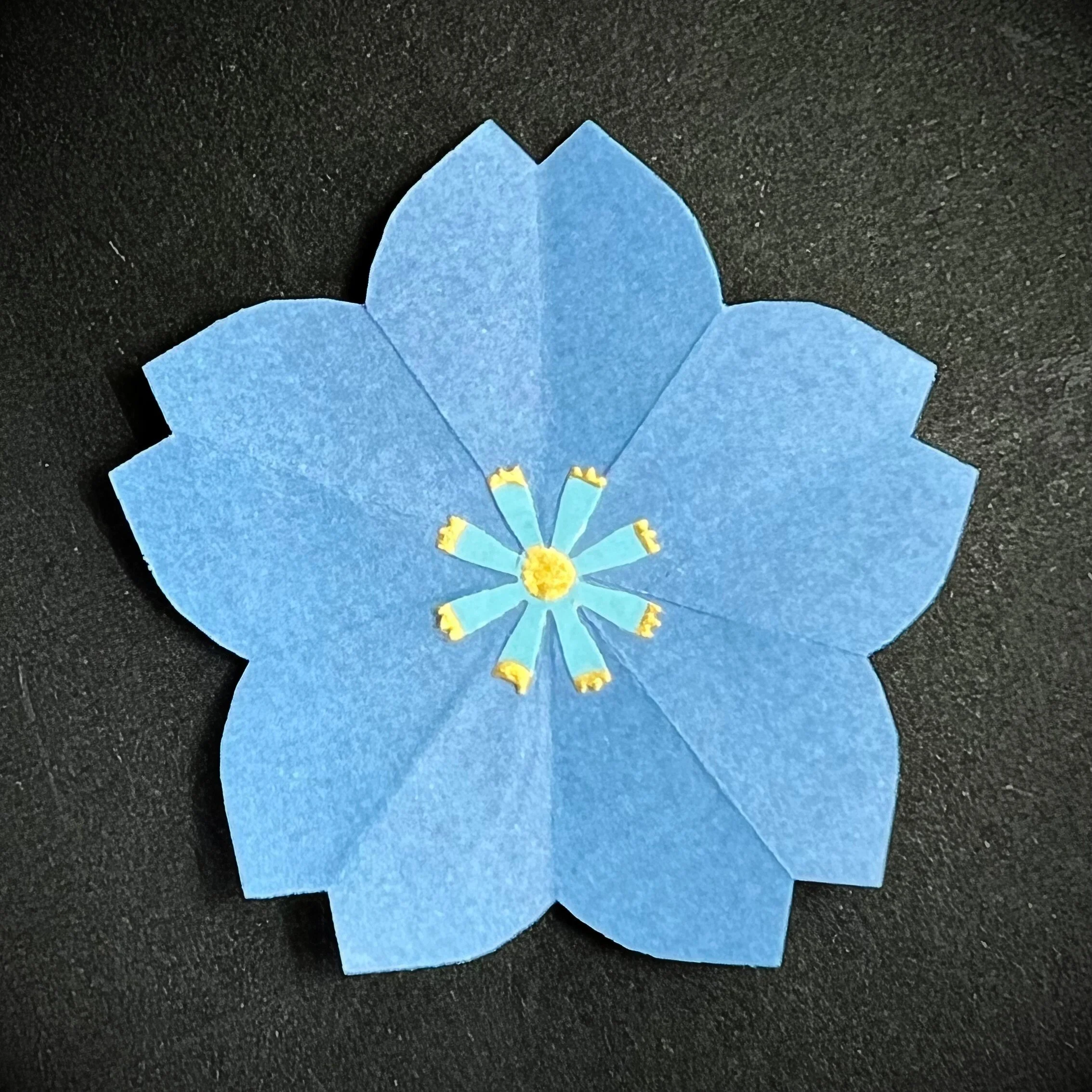 Blue Flower.jpeg