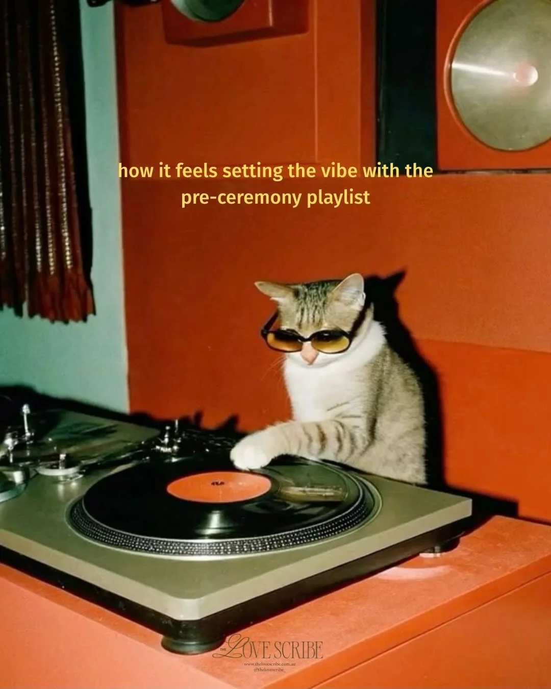 a small snippet of all the emotions of being your celebrant, in the form of cat memes! 

*image credit goes to the original owners (unknown)

#celebrantmemes #funny #adelaideweddingcelebrant