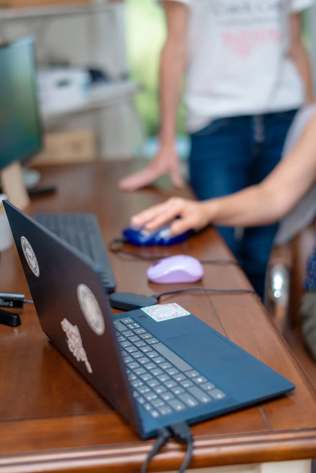 Zyto Biocommunications Scan (Scan Only)