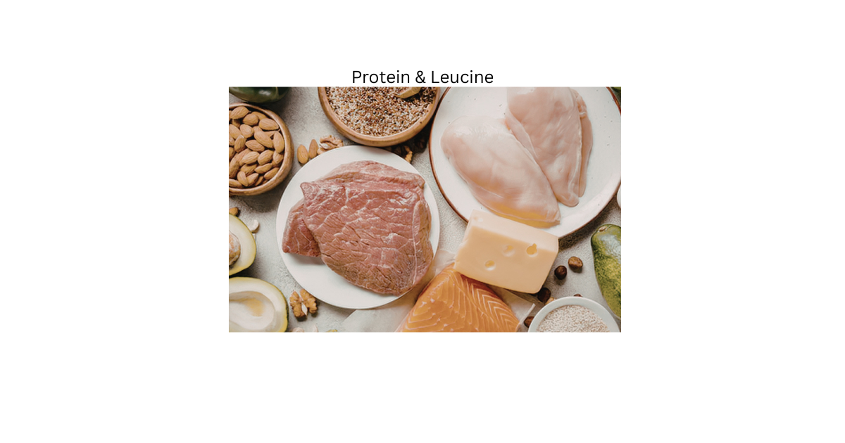 Protein and Leucine Cheat Sheet