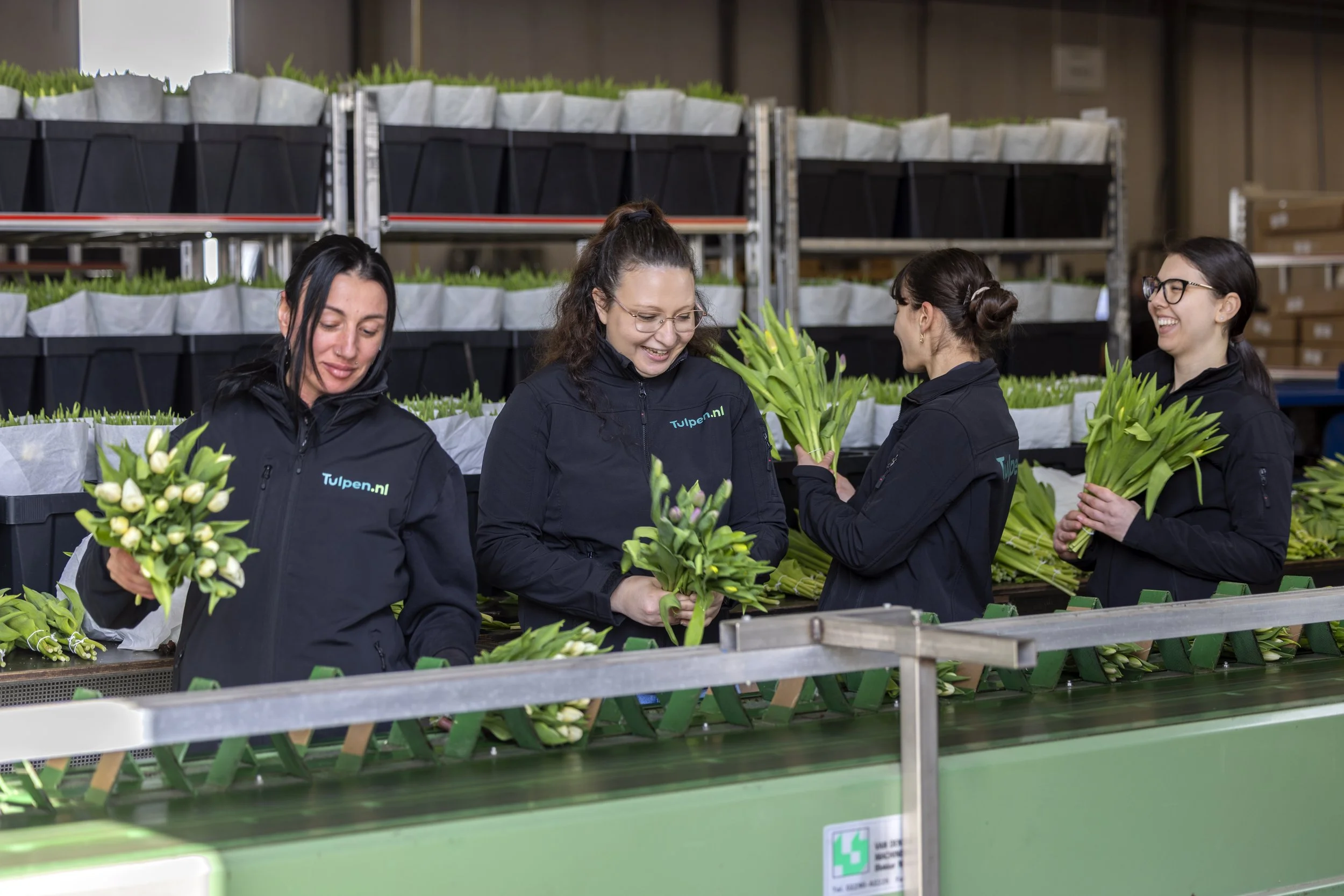 Allround Productiemedewerker