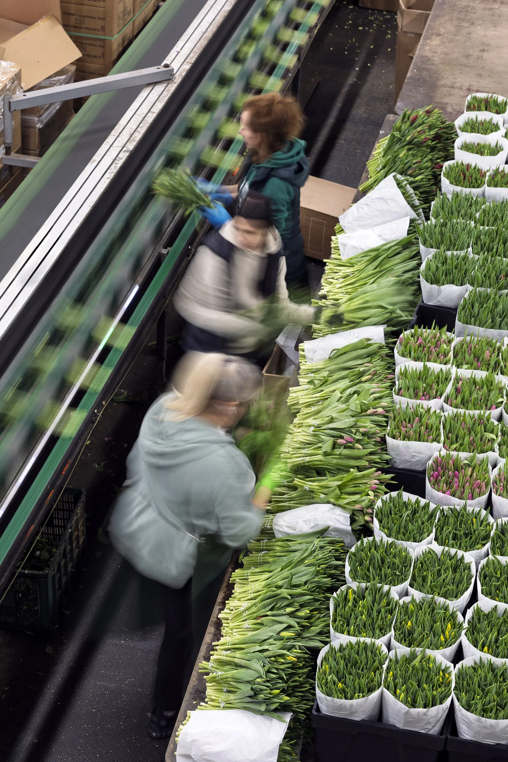 Vrouw en kind verzamelen tulpen in een bloemenwinkel.