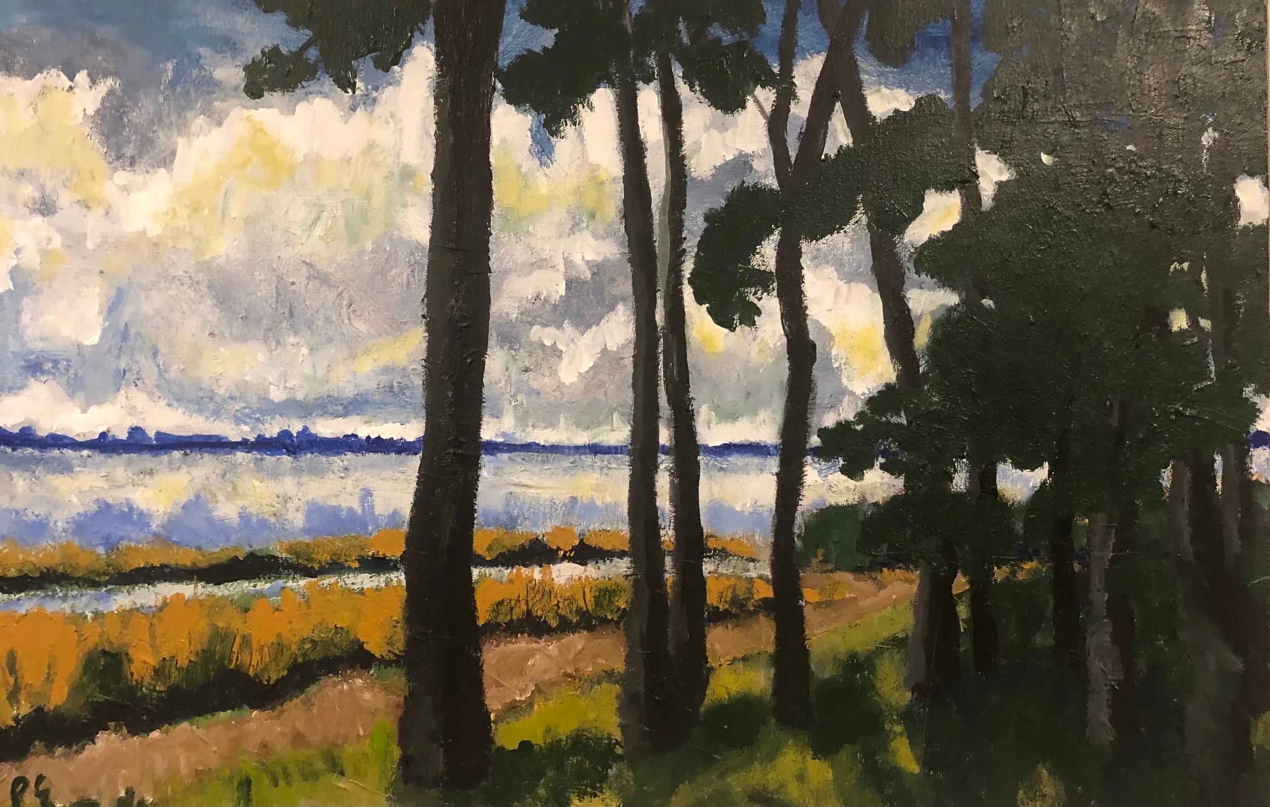 An impressionistic landscape painting depicting an Australian lakeside scene with tall dark trees in the foreground, a body of water in the background, and a sky with clouds painted in shades of white, yellow, and gray. Art by Peter Gowans.