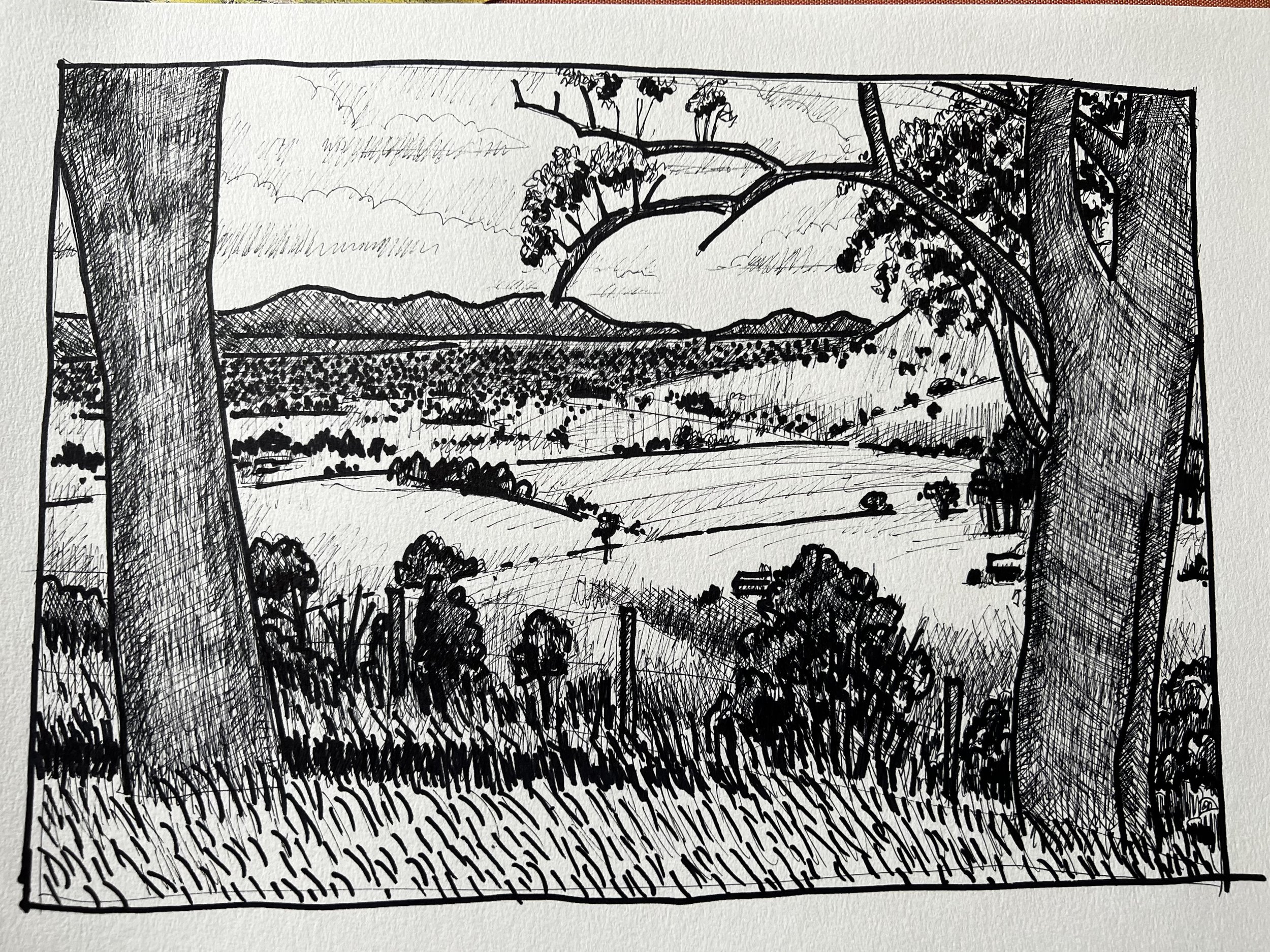 Black and white sketch of an Australian rural landscape with trees in the foreground, rolling hills, and mountain range in the background. Art by Peter Gowans.