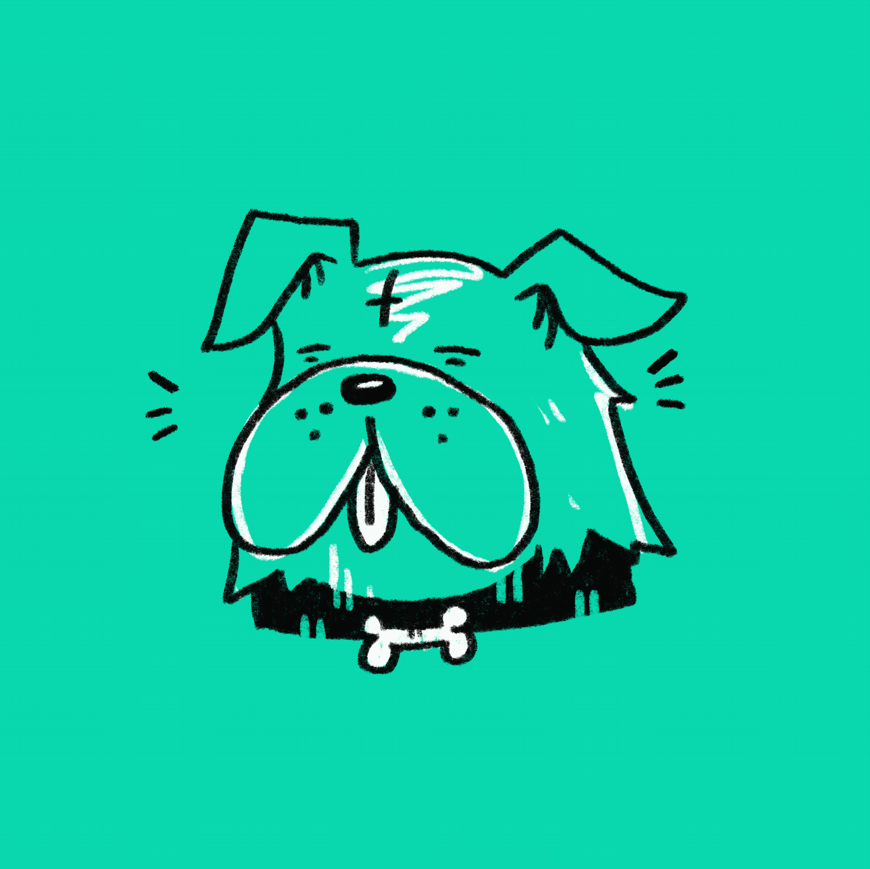 Solo The Dog Animation