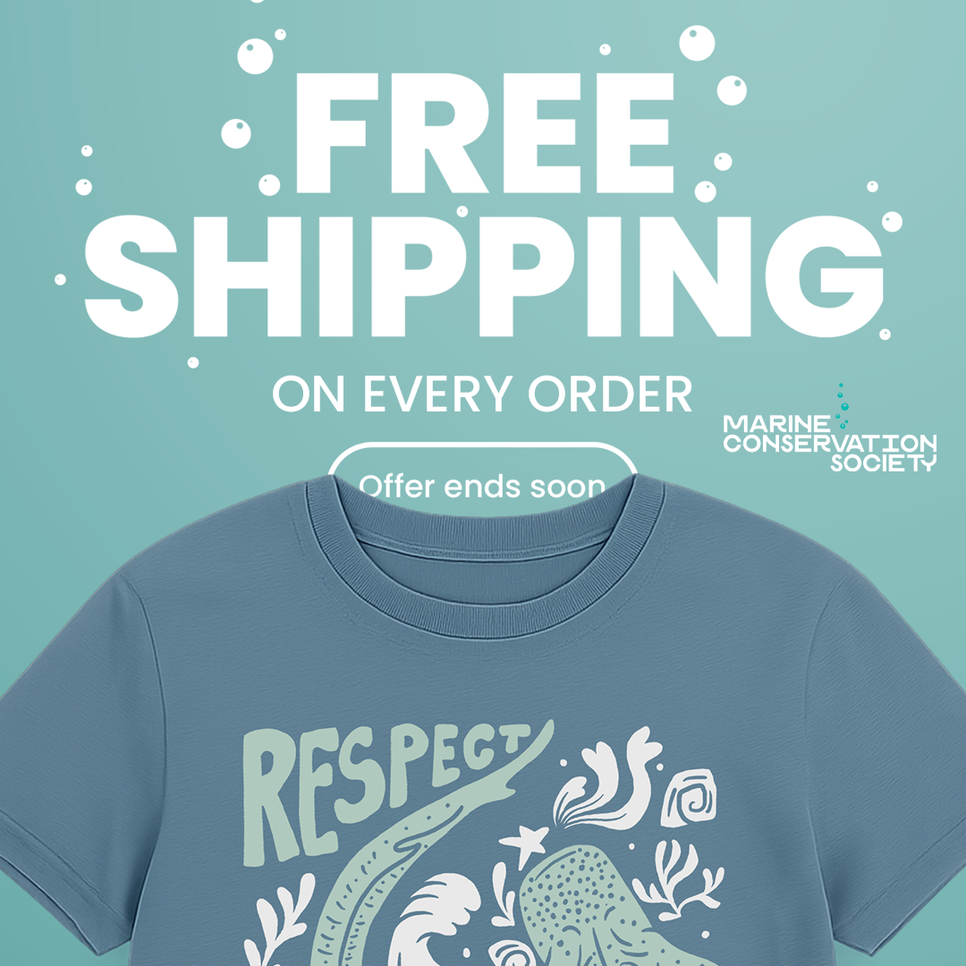 MCS Promo Freepost SQUARE V2.png