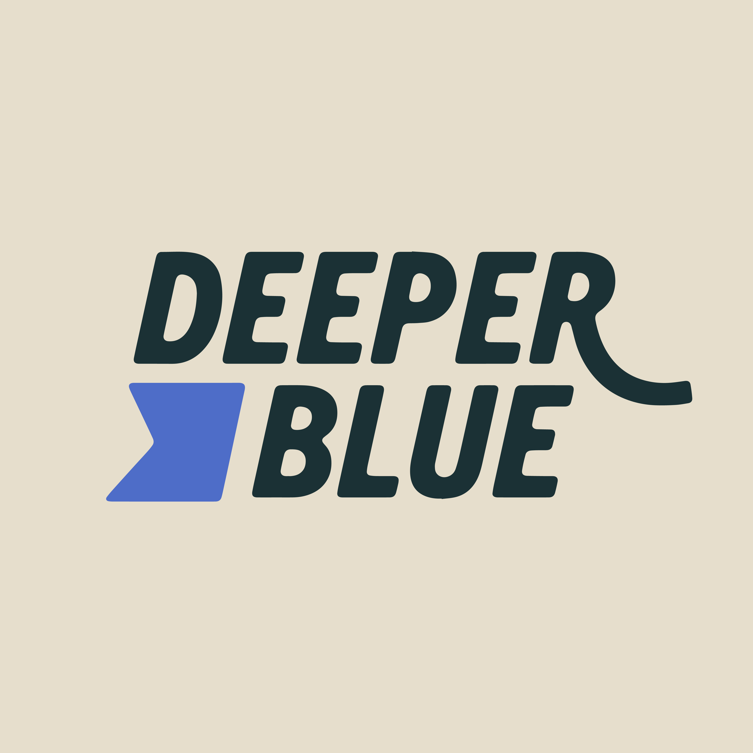 Deeper Blue Brand Identity-01.png