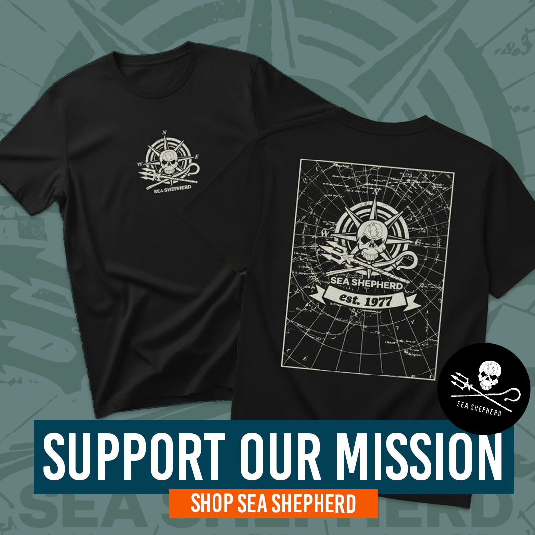 Sea Shepherd Ads Flats 3 SQUARE.png