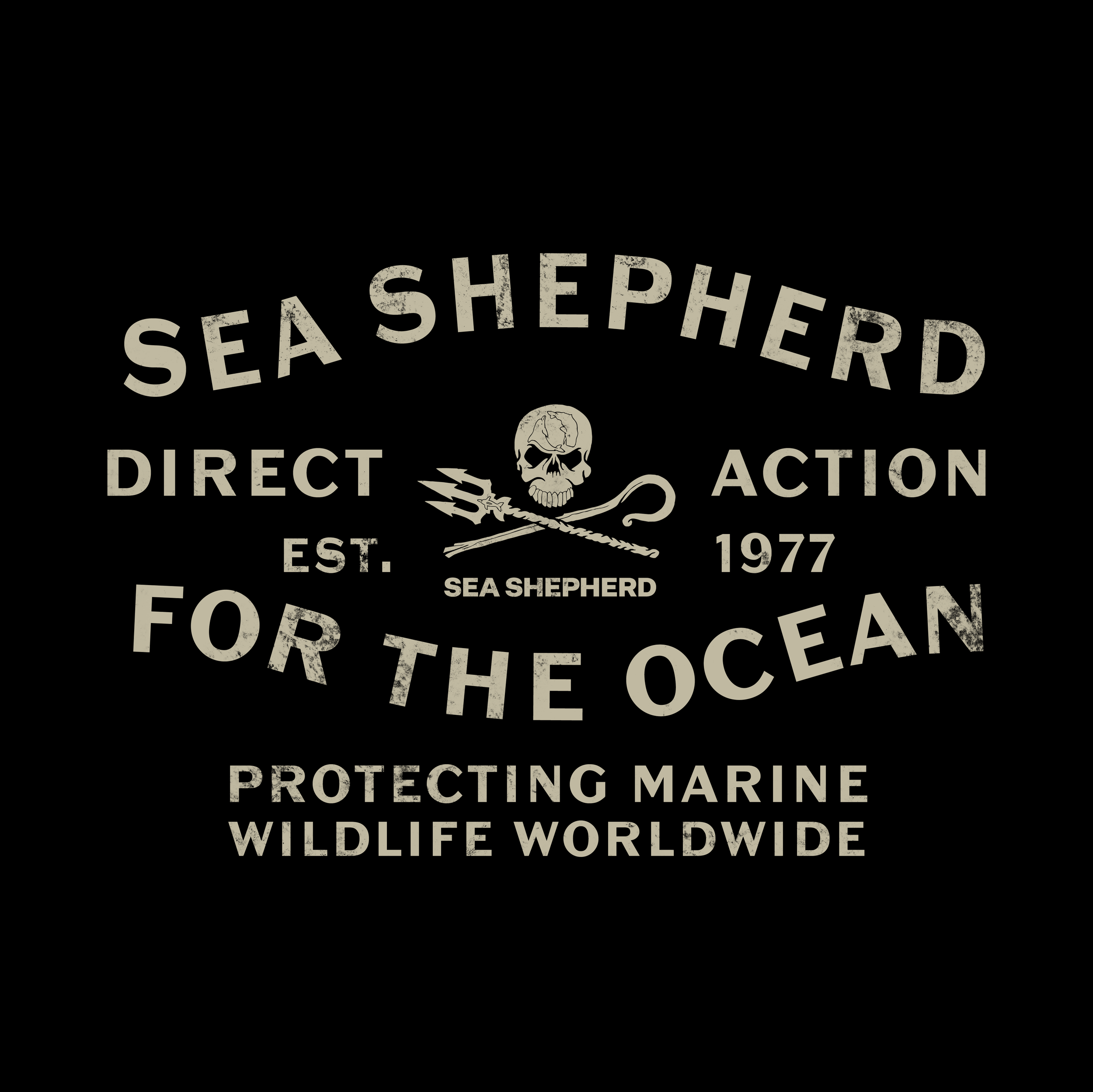 Sea Shep Instagram.png