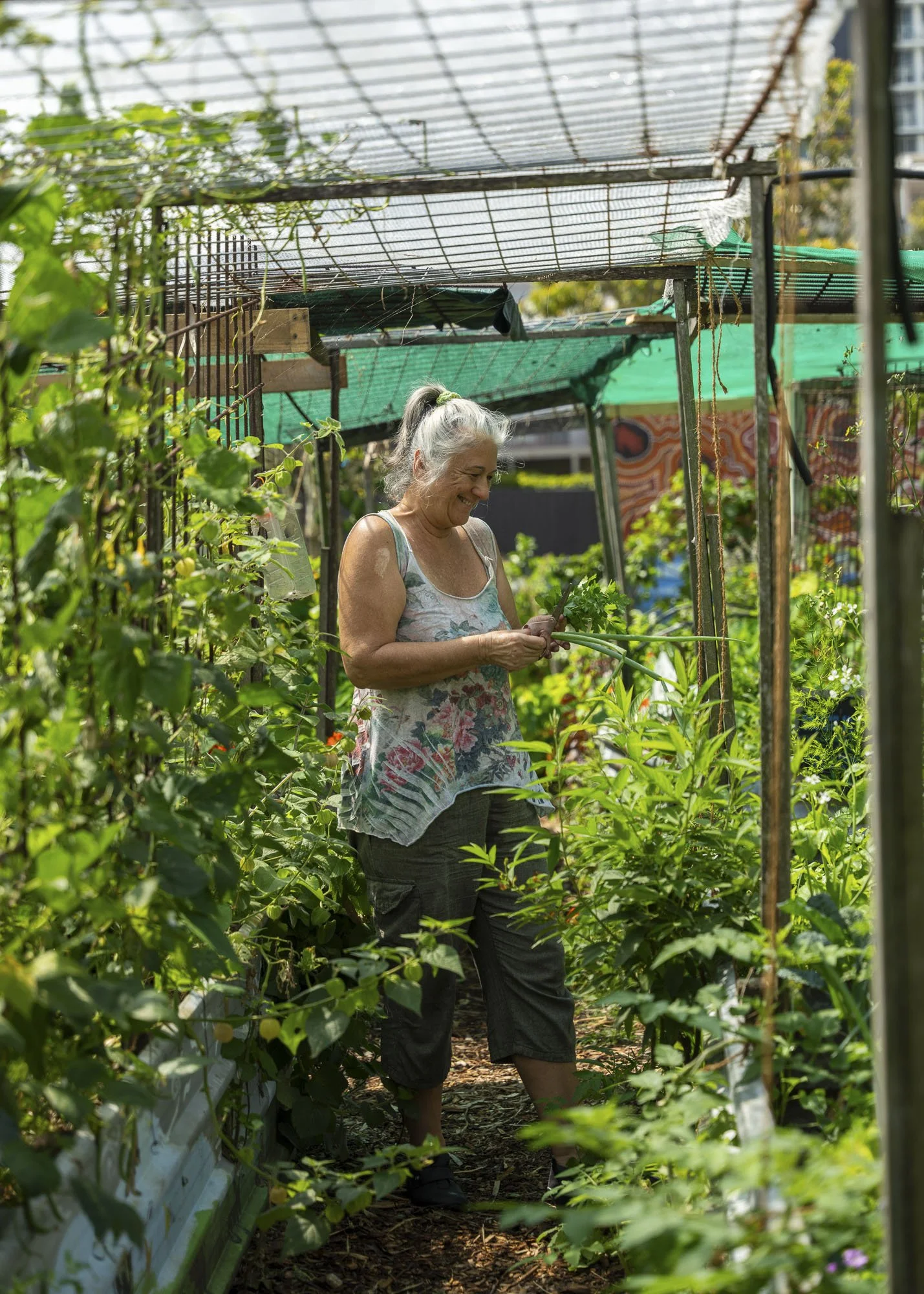 Urban Farm - September 11-37.jpg