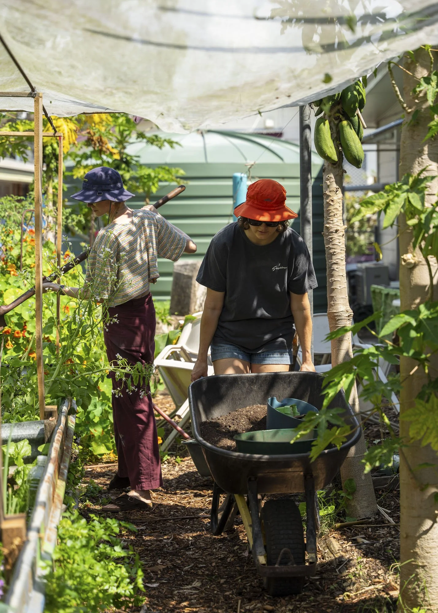 Urban Farm - September 11-28.jpg