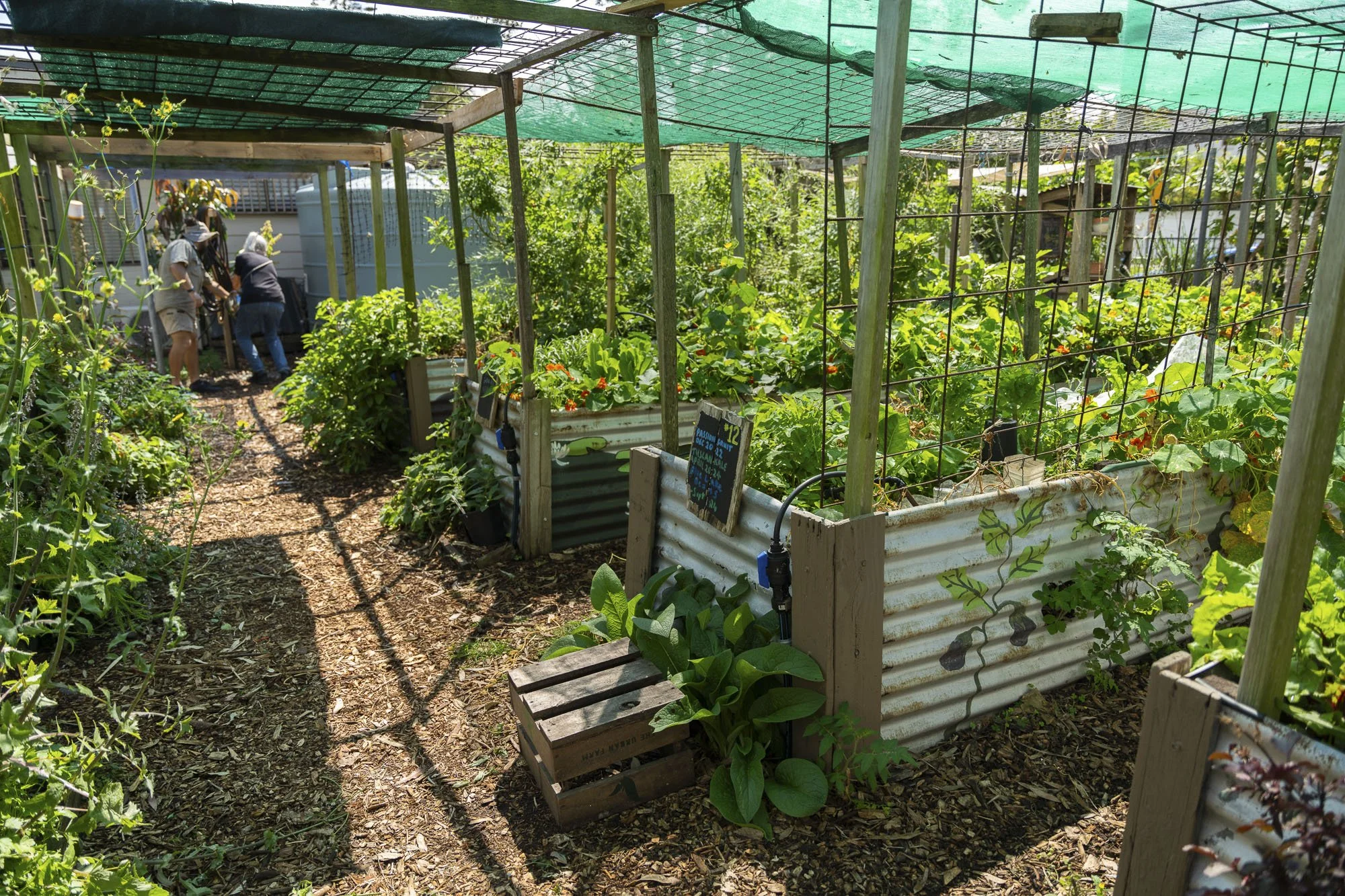 Urban Farm - September 11-24.jpg
