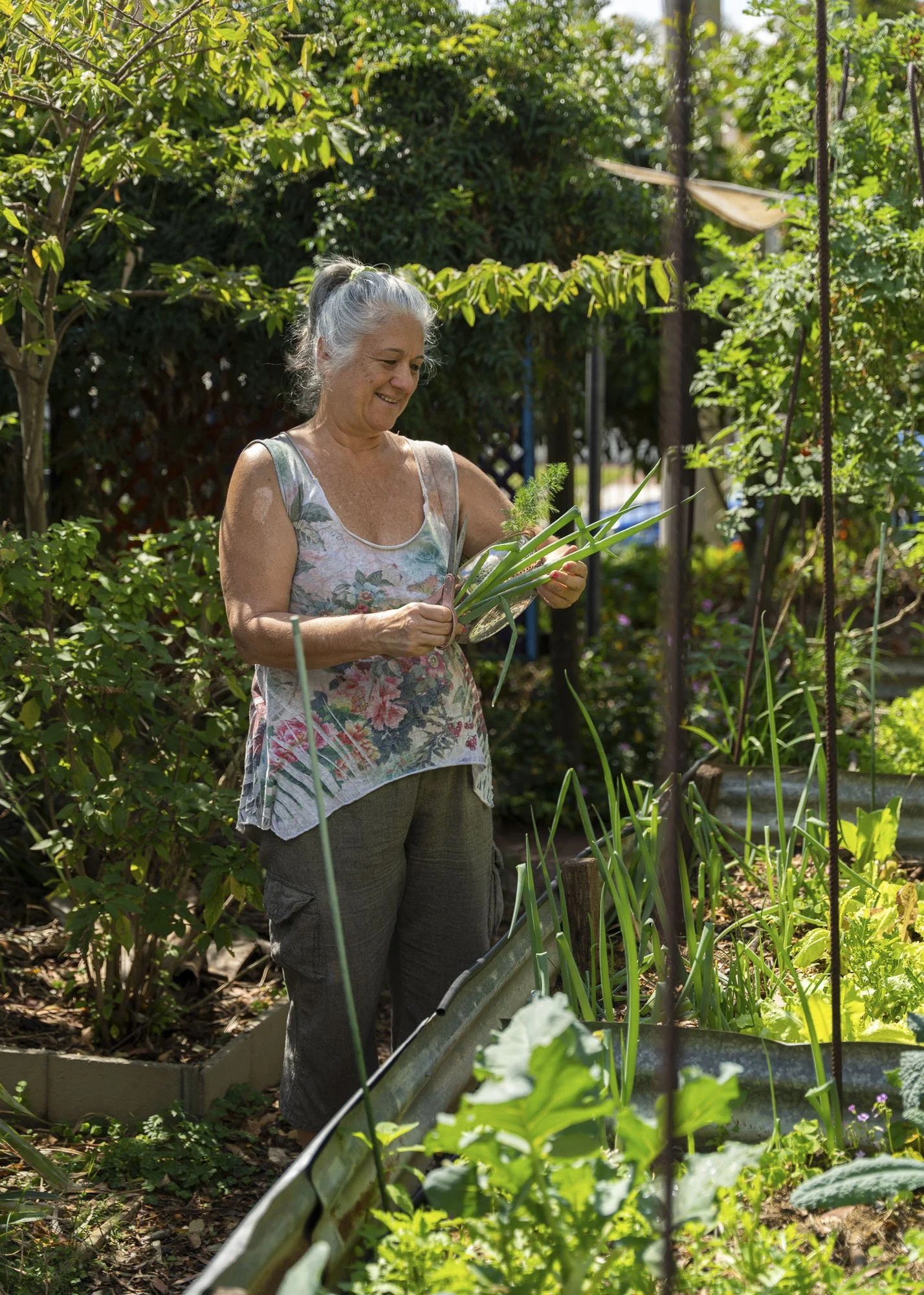 Urban Farm - September 11-09.jpg