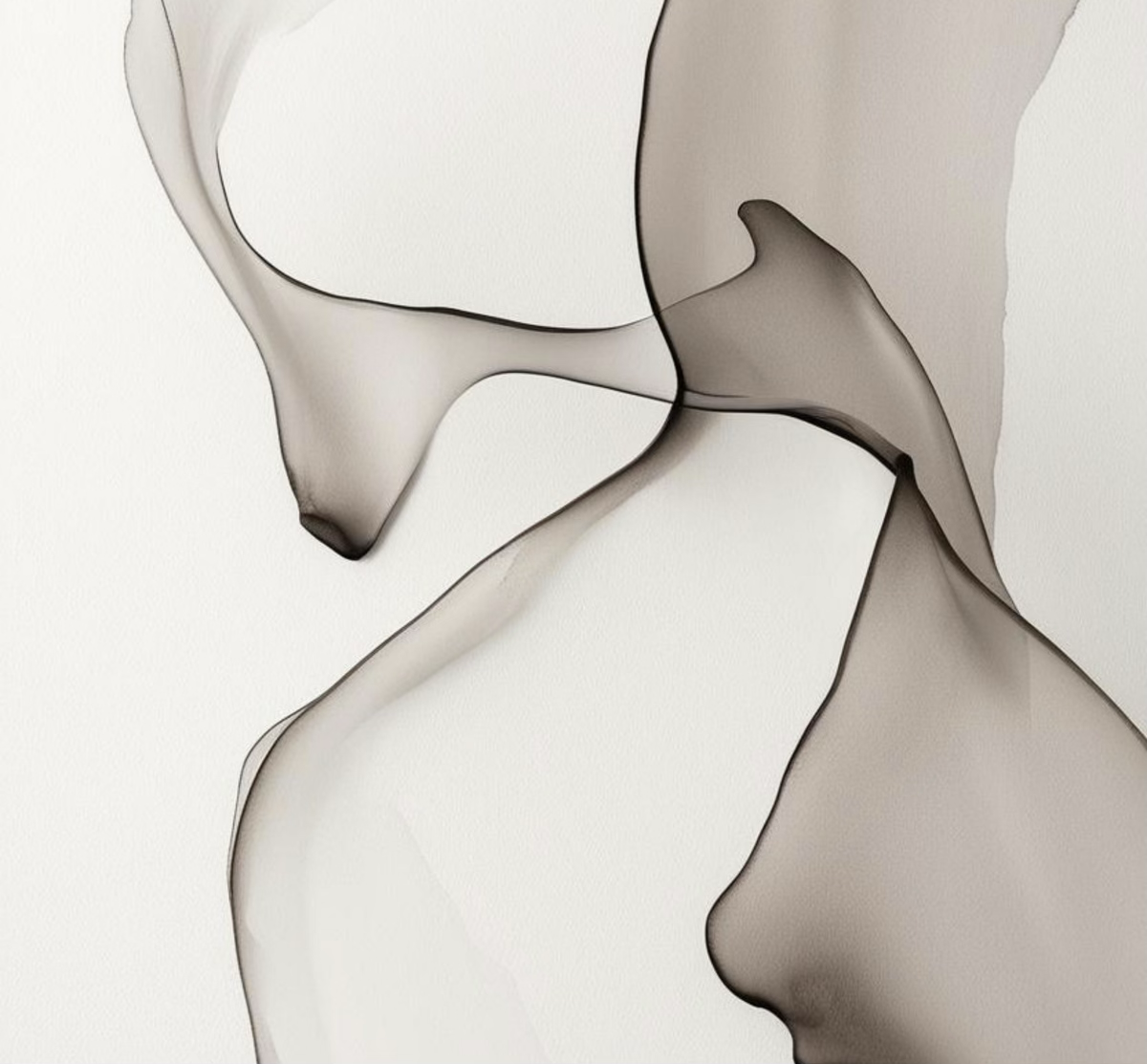 Abstract artwork with flowing, translucent shades of gray and beige, creating organic shapes.