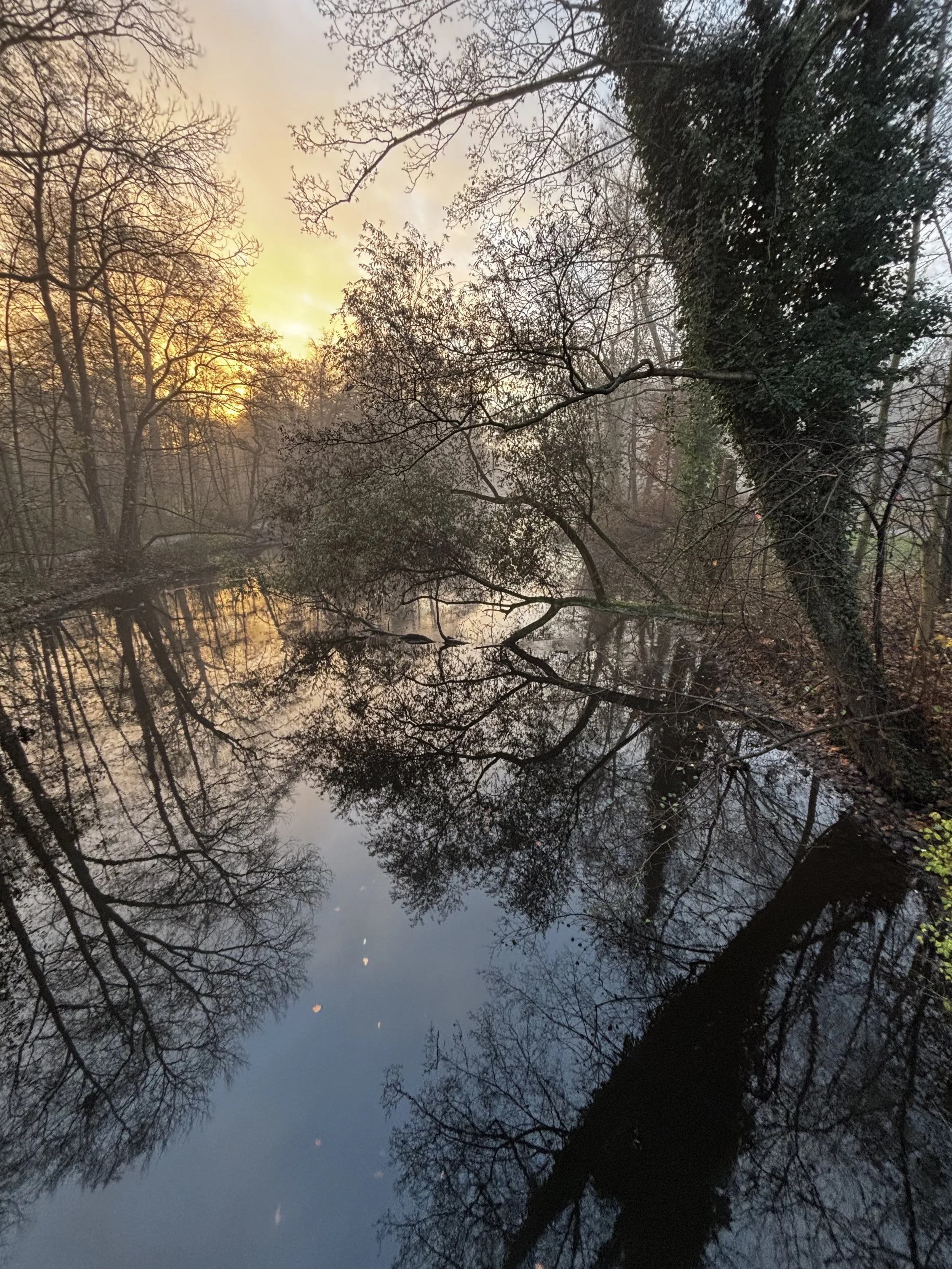 Häufige Fragen zur Atemarbeit