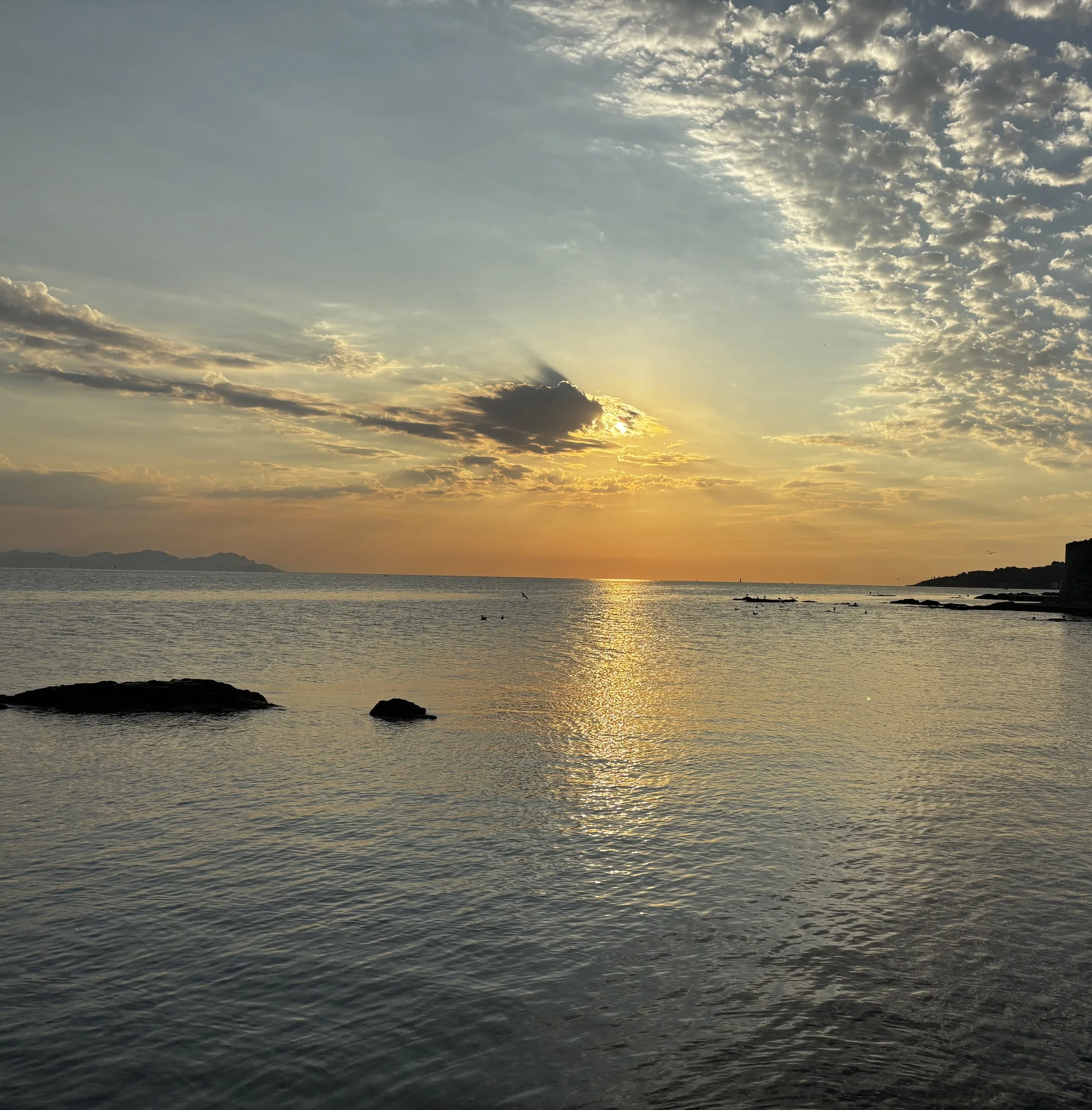 Transformative Atemreise - Online - Montag, 19. Januar 2026 - via Zoom