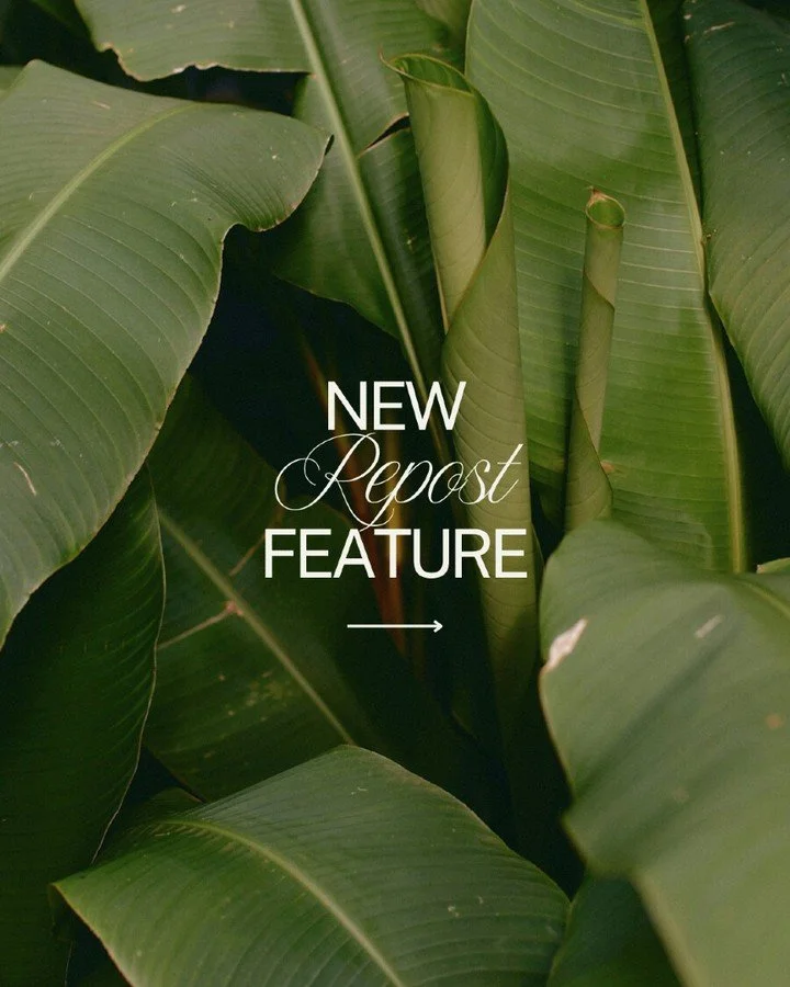 There's a lot changing on Instagram at the moment! This new repost feature makes it easier than ever to get reach non-followers, repost UGC content and gives us another reason to create purposeful, relatable content. 

Have you tried this feature yet