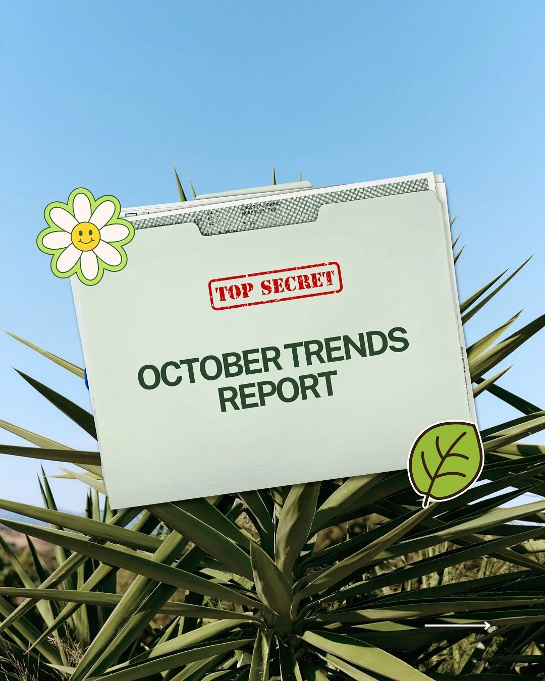 Trends can feel like just another thing you can’t keep up with. Luckily, I’ve pulled together the easiest ones to apply to your wellness business.
Remember: trends aren’t a long-term strategy. But they’re quick, easy, and can