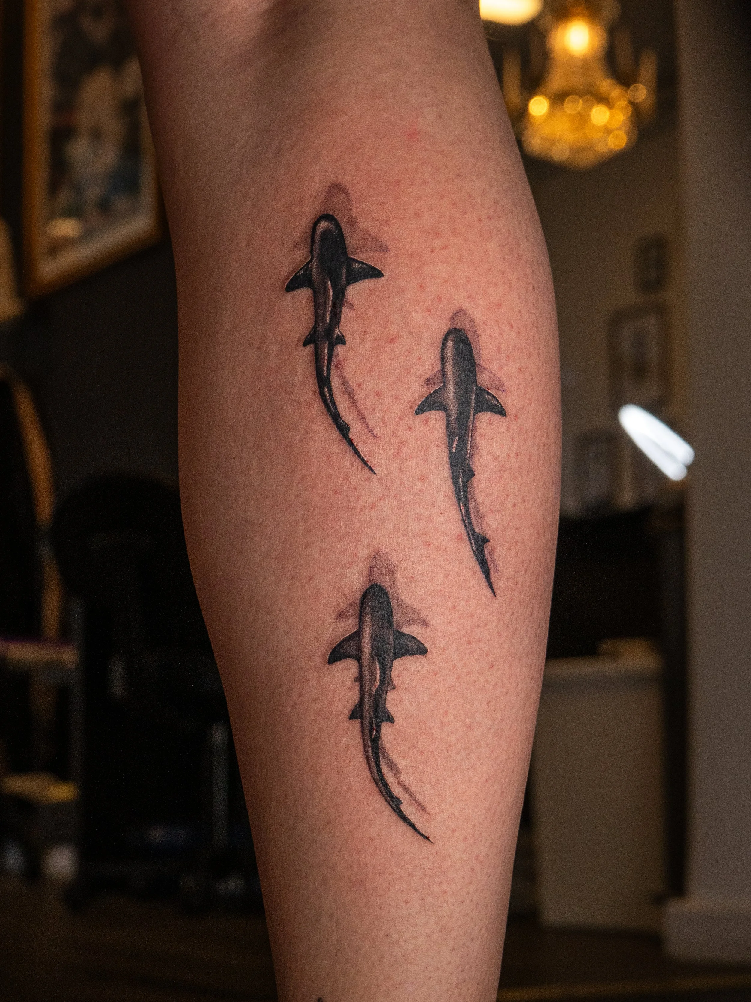 Tatuerade hajfinnar på människans ben i svart, tre stycken i rad.