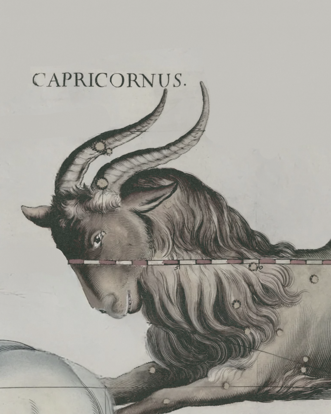 Illustrasjon av en stjernebildefigur som forestiller en geit, med tittelen 'Capricornus' over.