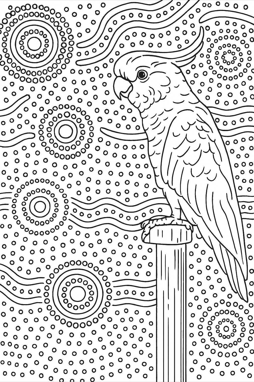 97587D5D-15A2-4F67-8DC5-61EF5EF7D6DA.png (Copy)