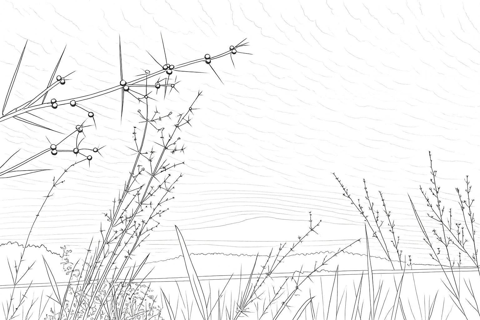 D6C41015-9245-4970-A061-3FFC51FE2917.png