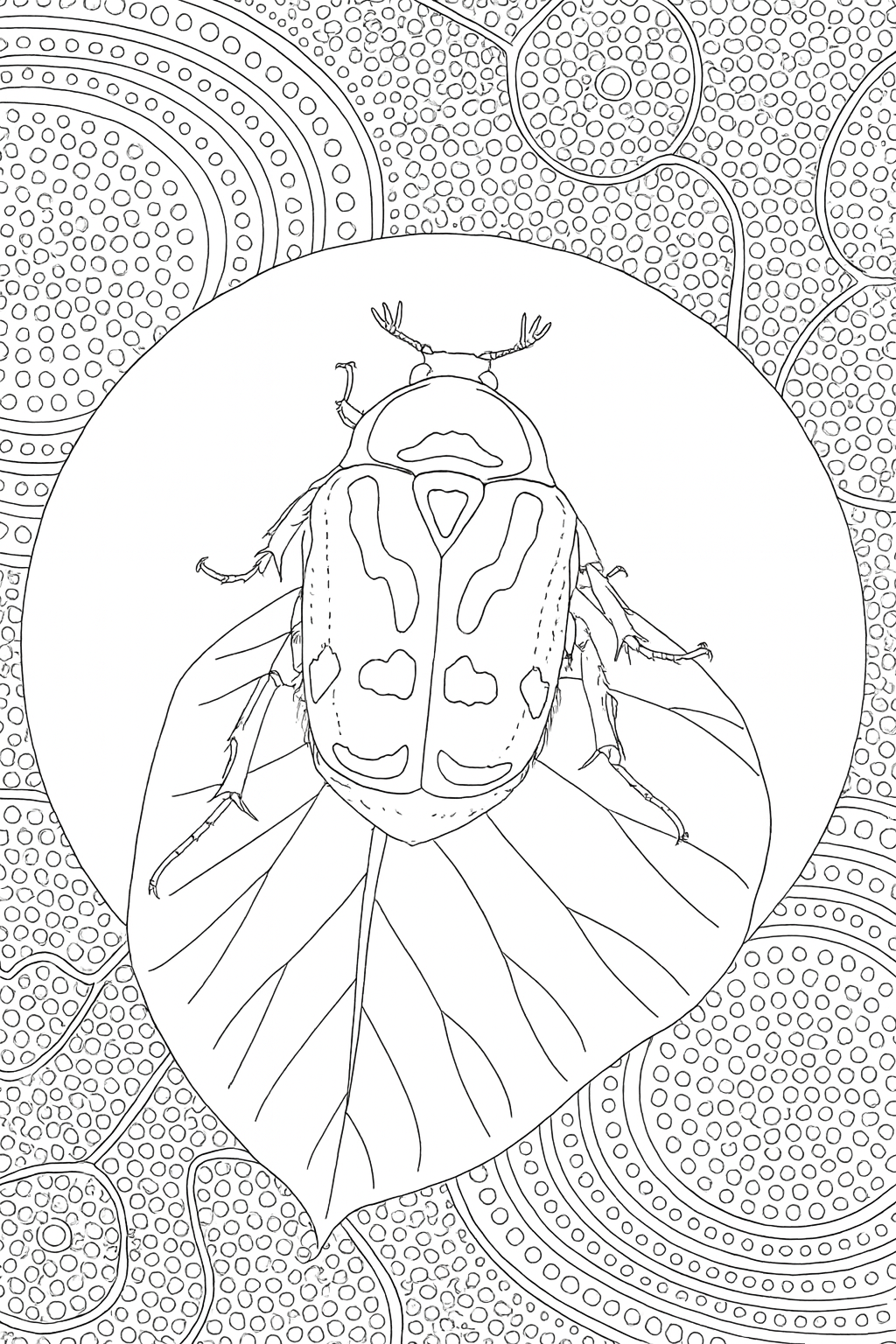 AAD0BF92-ED4A-4936-9F6E-1729DAB1F9B7.png