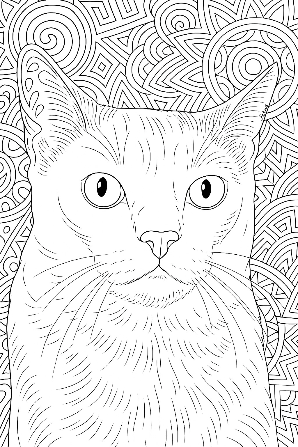 IMG_3618.png