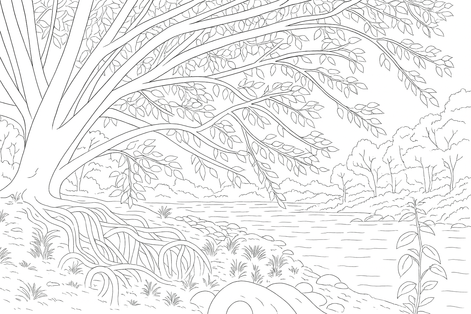 D0A9C3C5-2310-4EB0-8804-327E84621793.png